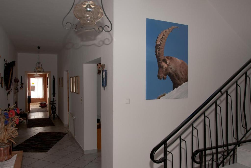 Appartements Schmalzerhof กรีส อิม เซลเรน ภายนอก รูปภาพ